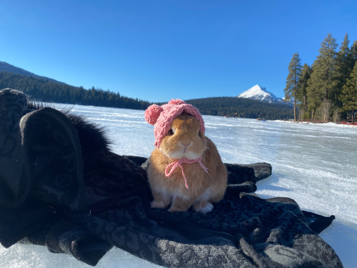 Knit Beanie