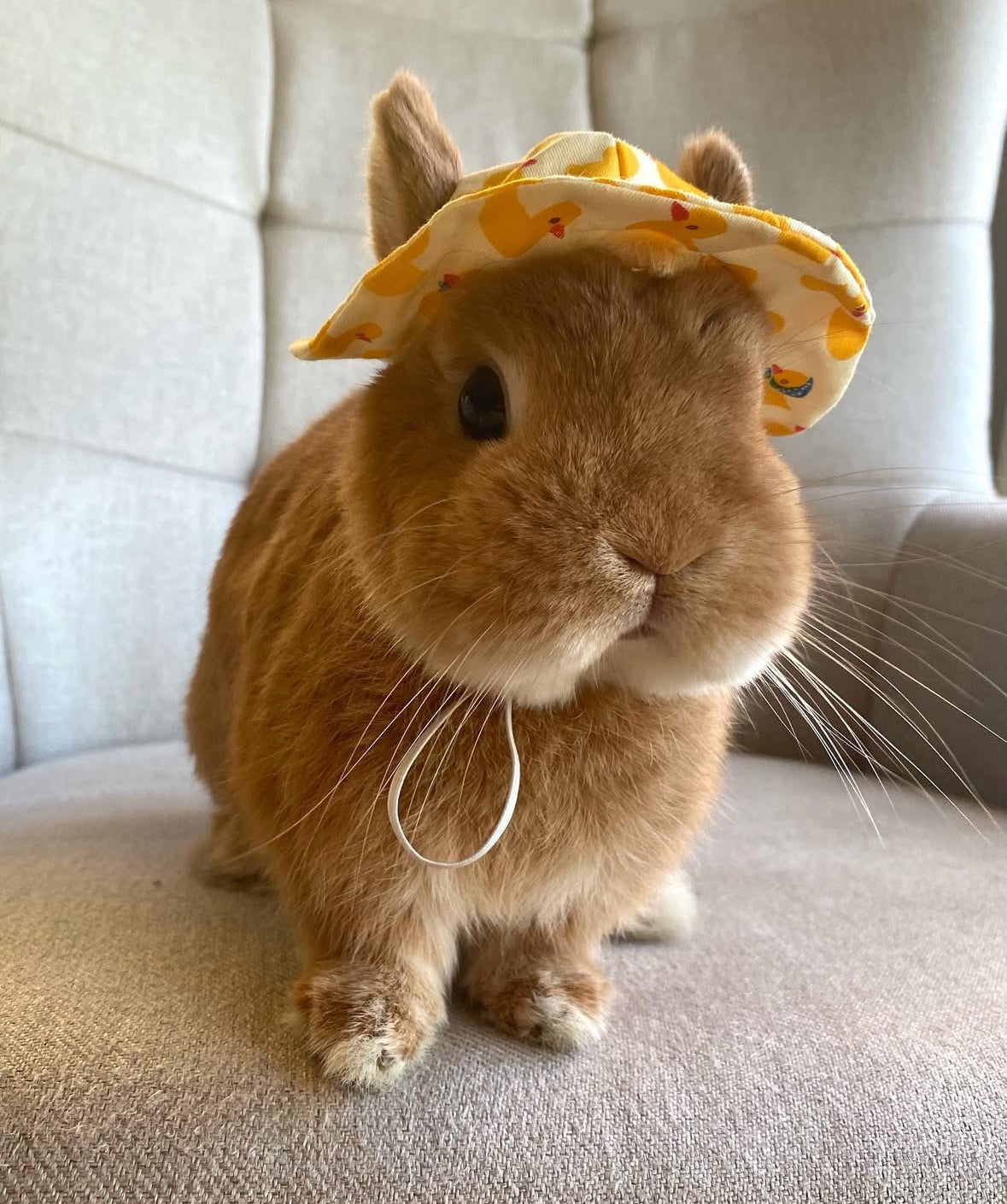 Summer Hats