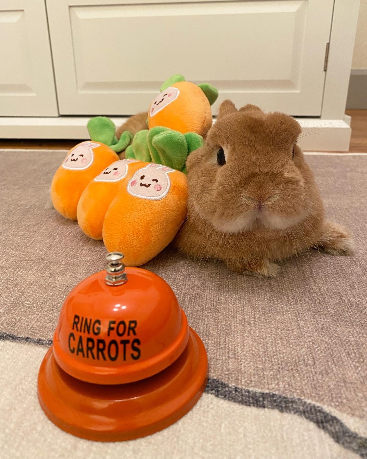 Ring for Carrots