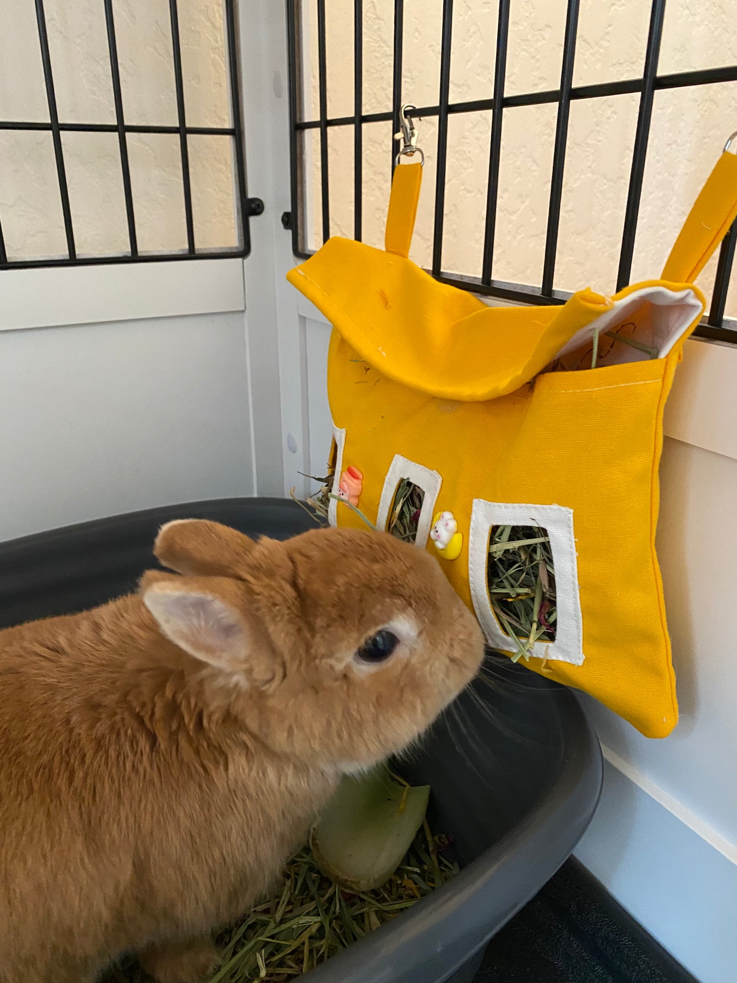 Hay Feeding