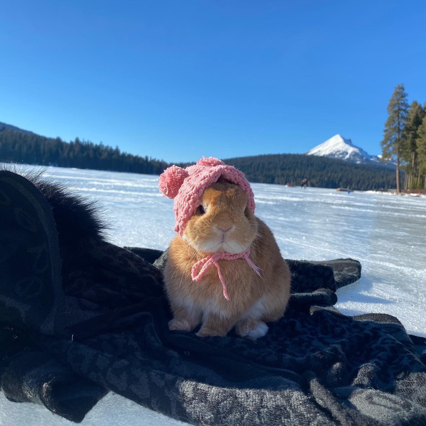 Knit Beanie