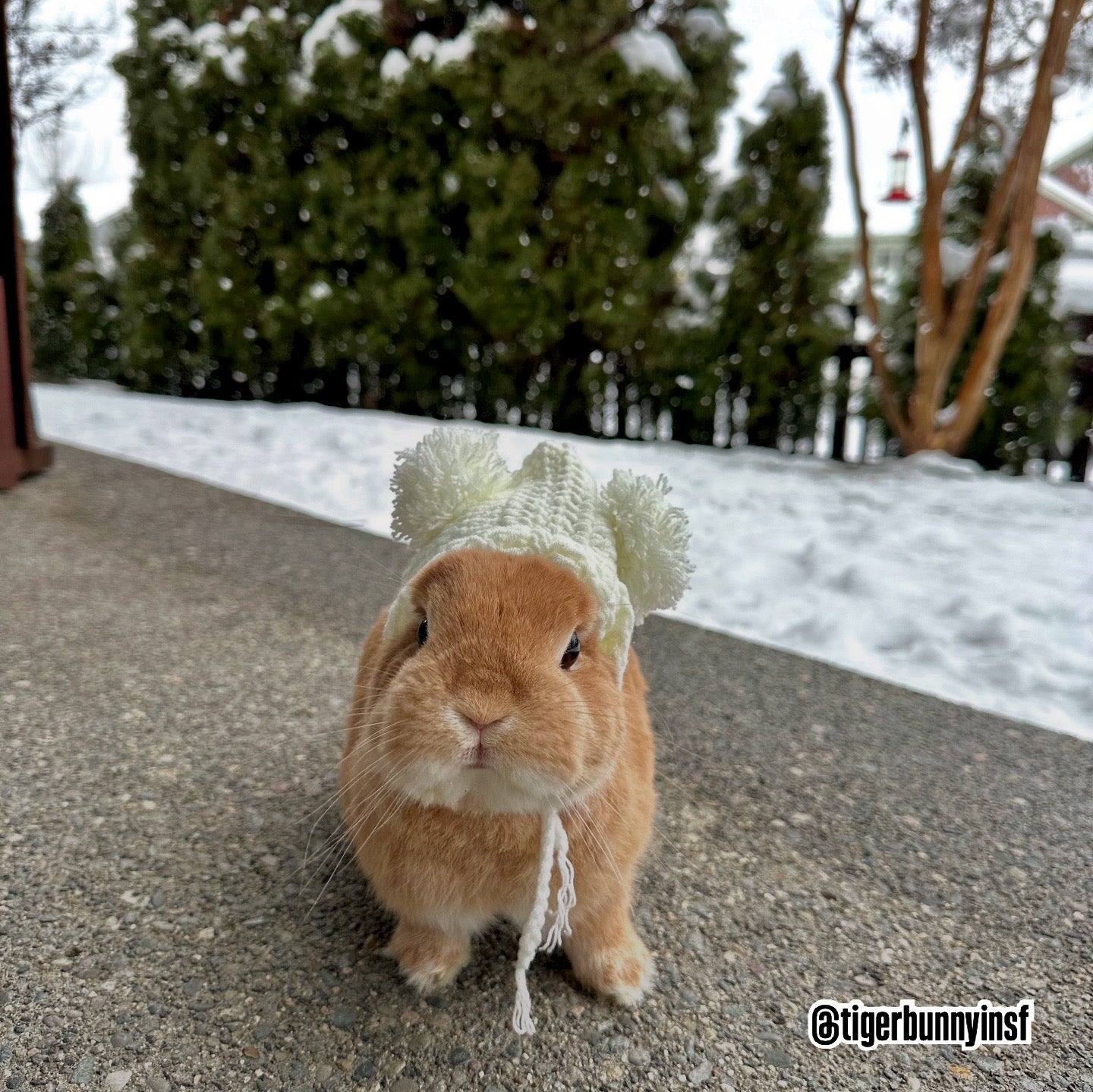 Knit Beanie