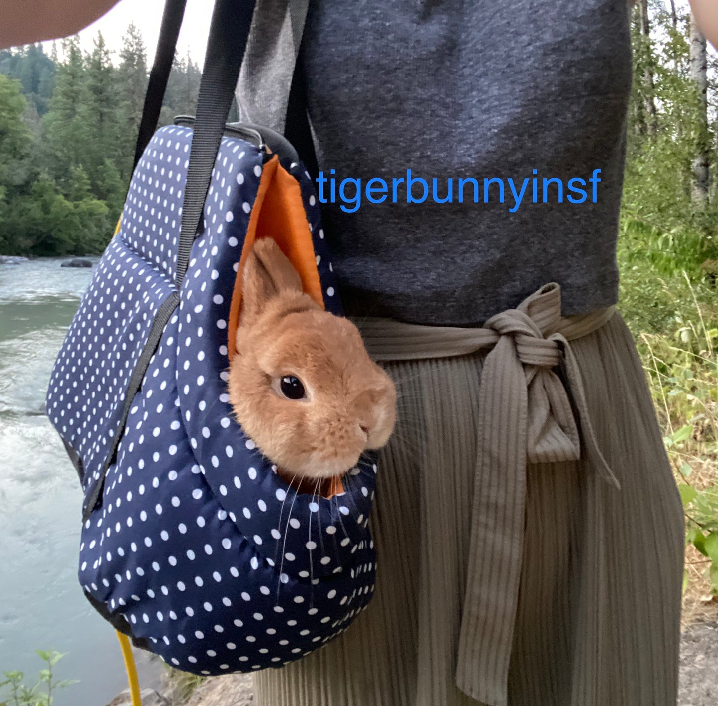 Polka dot carrier
