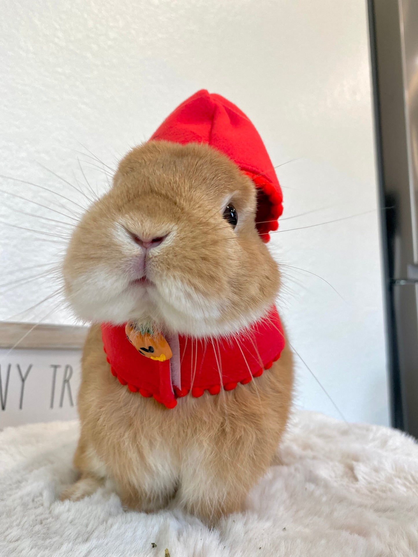 Halloween Cloak Costume Red Black Orange Colors for Rabbit Bunny