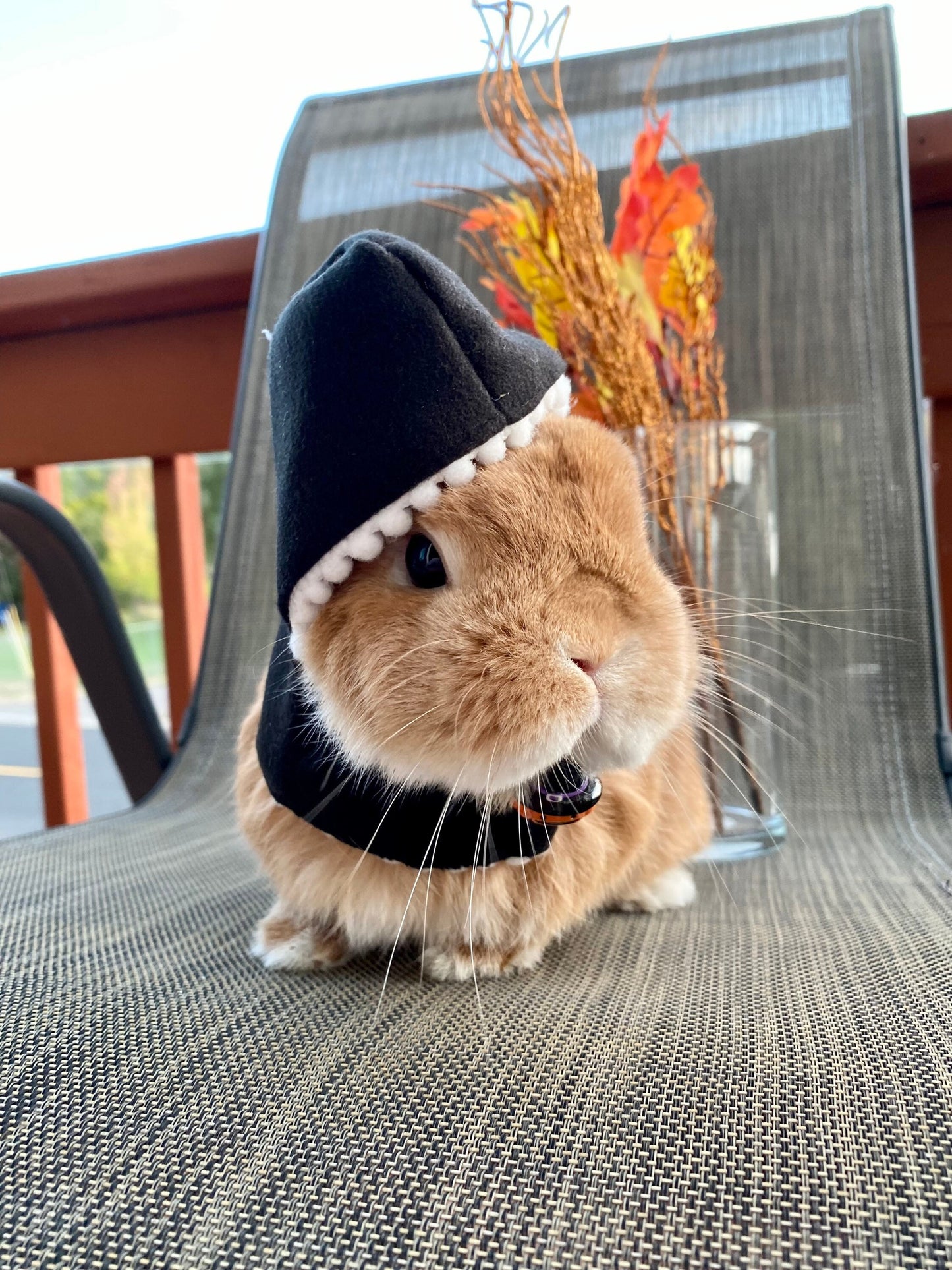 Halloween Cloak Costume Red Black Orange Colors for Rabbit Bunny