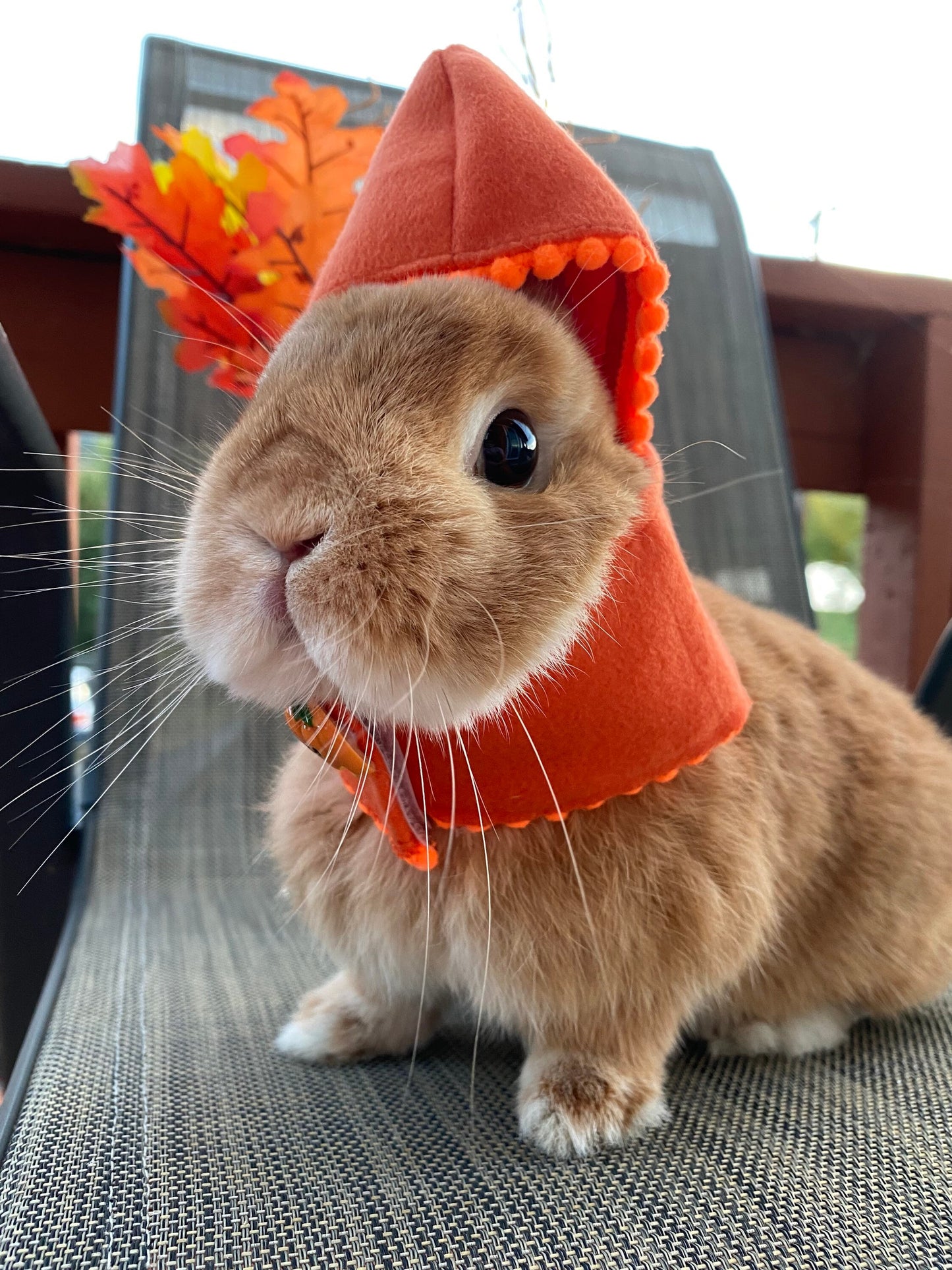 Halloween Cloak Costume Red Black Orange Colors for Rabbit Bunny