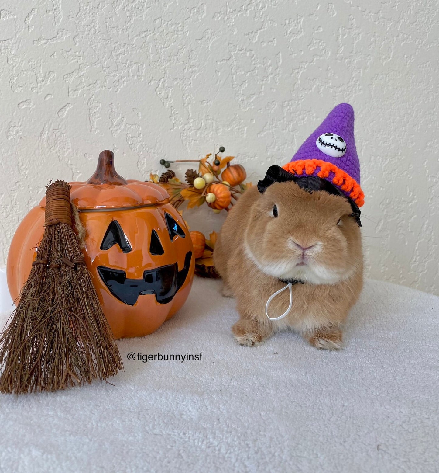 Halloween Knit Hat for Rabbit, Cat, Puppy, Small Pet