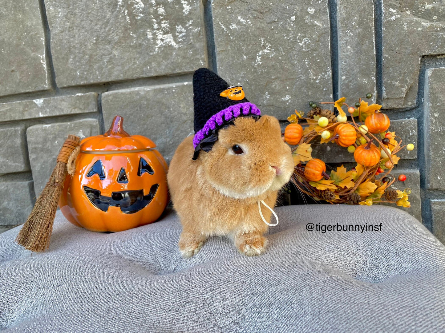 Halloween Knit Hat for Rabbit, Cat, Puppy, Small Pet