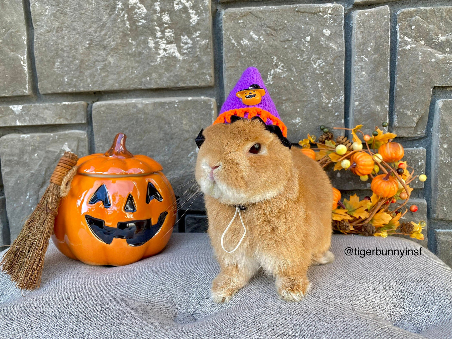 Halloween Knit Hat for Rabbit, Cat, Puppy, Small Pet
