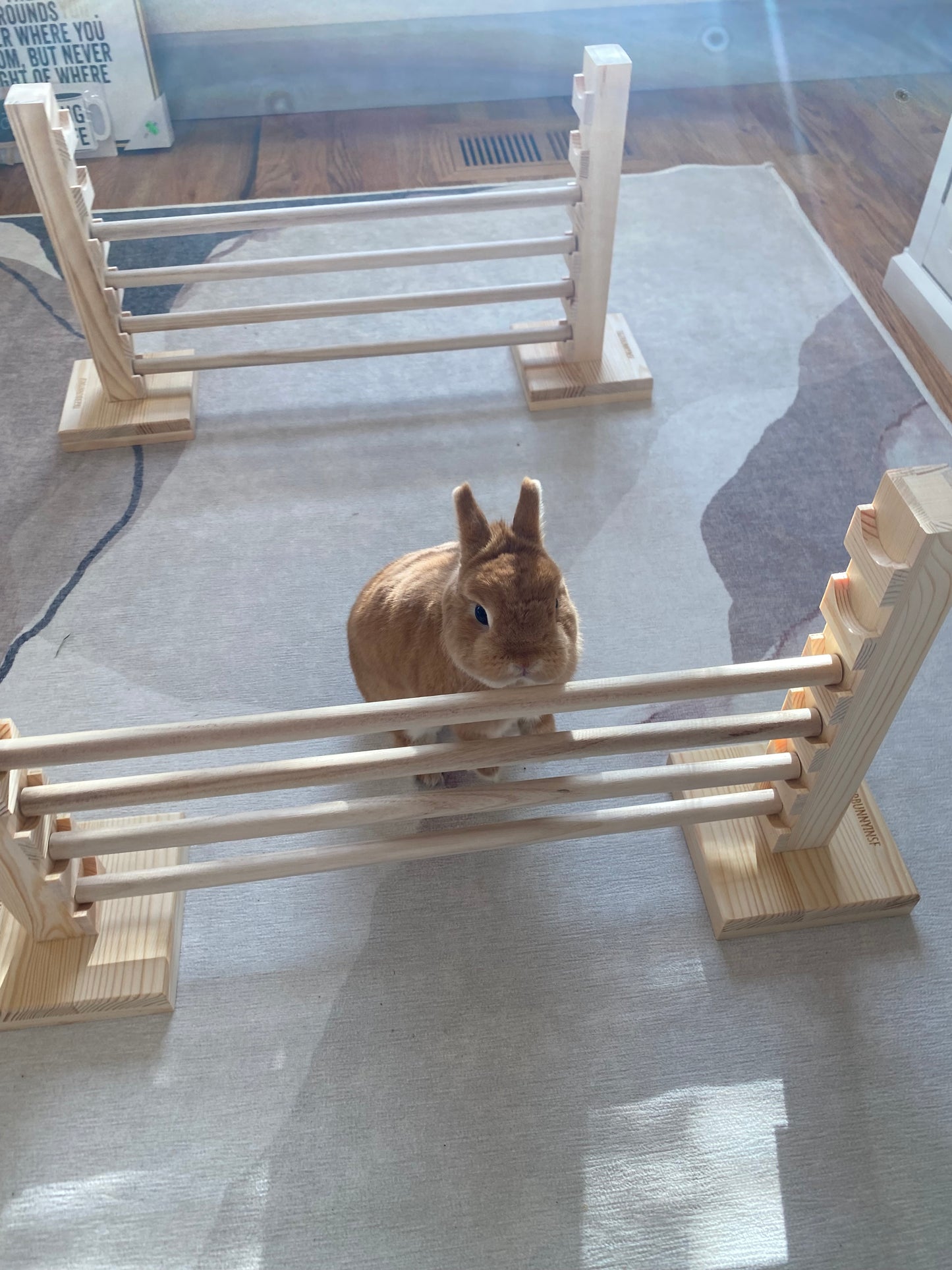 Rabbit Jump Bar l Natural Wood Toy