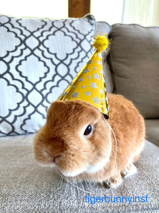 Pet Mini Party Hat