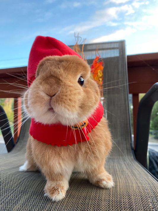 Halloween Cloak Costume Red Black Orange Colors for Rabbit Bunny