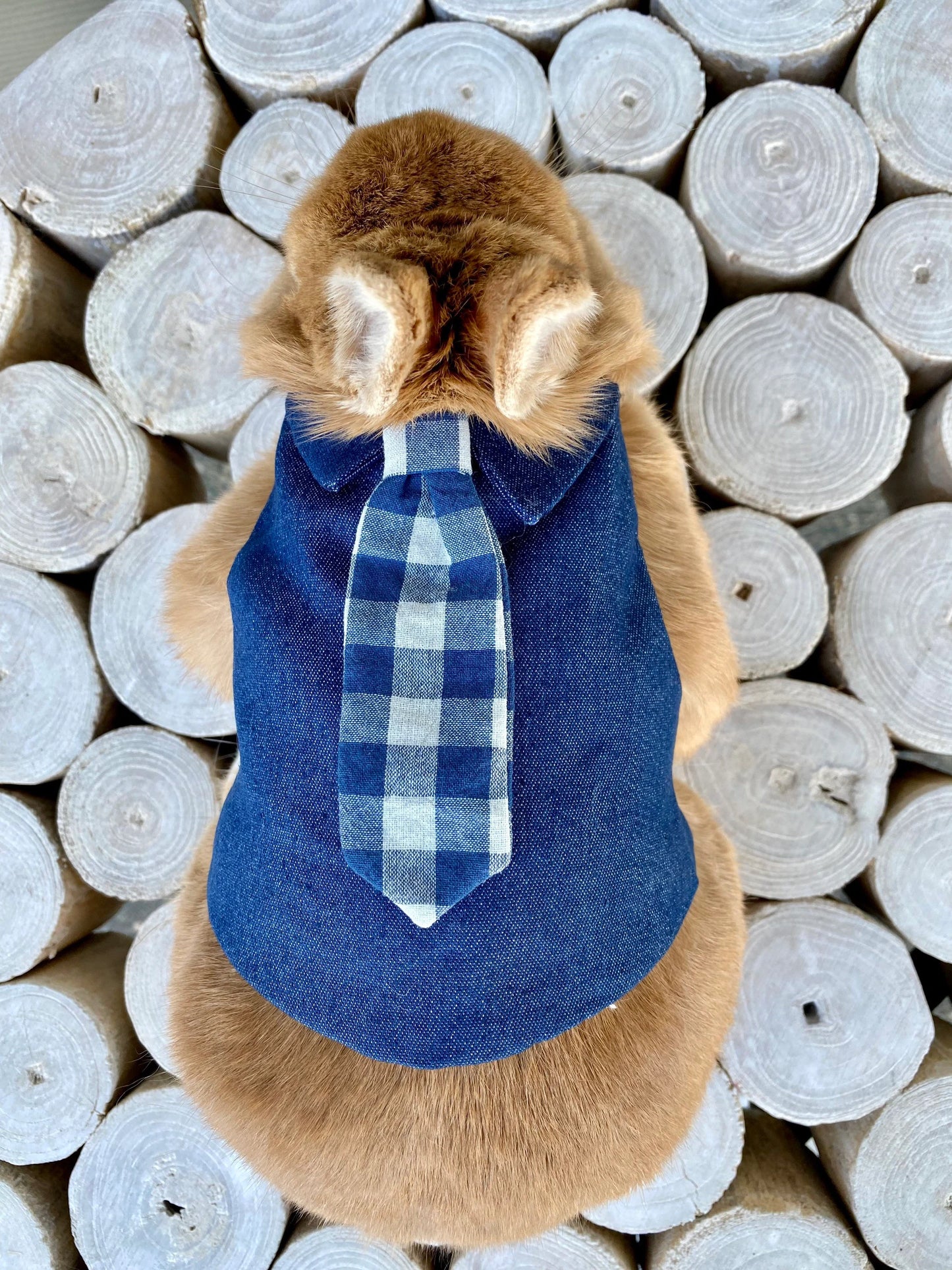 Bunny Plaid Necktie Blue Harness